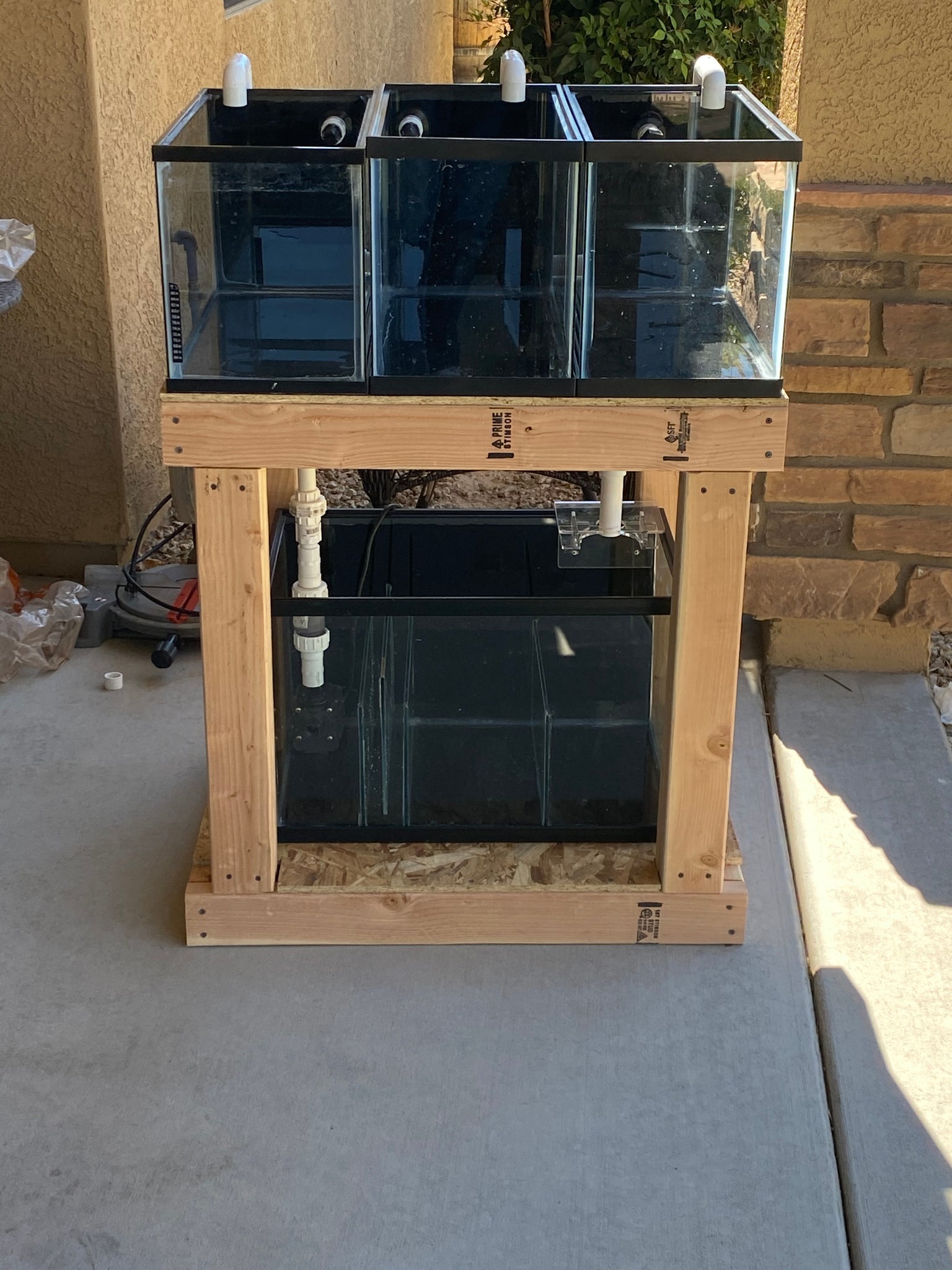 Saltwater Fish Quarantine Build